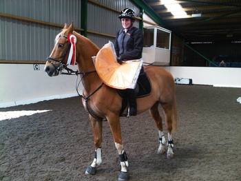 Abbie Gray Wins 80cms Horse Class at Brook Farm Club Show!